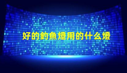 好的釣魚燈用的什么燈珠