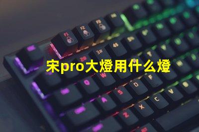 宋pro大燈用什么燈珠