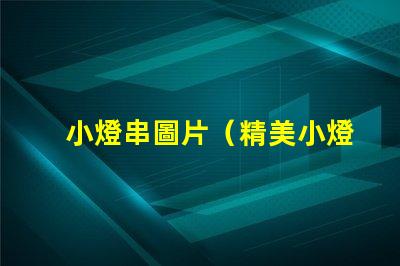 小燈串圖片（精美小燈串的圖片欣賞）