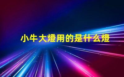 小牛大燈用的是什么燈珠