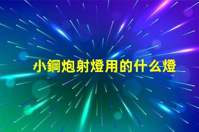 小鋼炮射燈用的什么燈珠