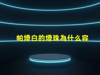 帕燈白的燈珠為什么容易壞