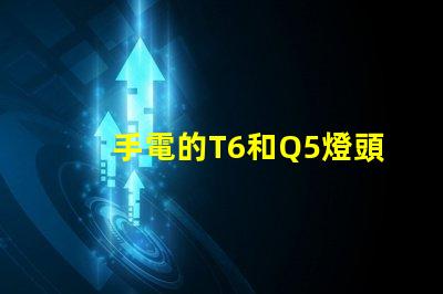 手電的T6和Q5燈頭是什么意思？哪個好？差多少？