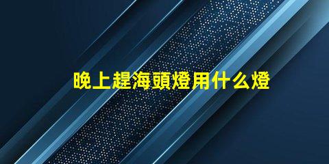 晚上趕海頭燈用什么燈珠