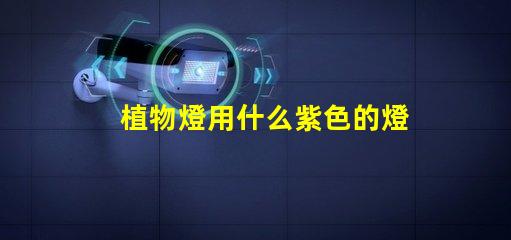 植物燈用什么紫色的燈珠