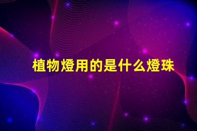 植物燈用的是什么燈珠