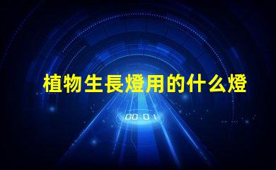 植物生長燈用的什么燈珠