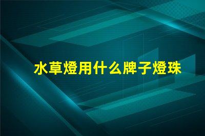 水草燈用什么牌子燈珠