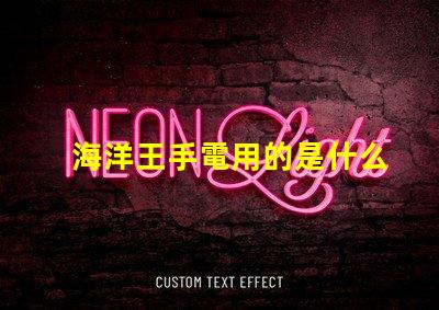 海洋王手電用的是什么燈珠