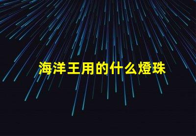 海洋王用的什么燈珠
