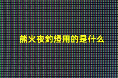 熊火夜釣燈用的是什么燈珠