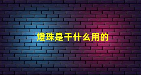 燈珠是干什么用的