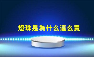燈珠是為什么這么貴