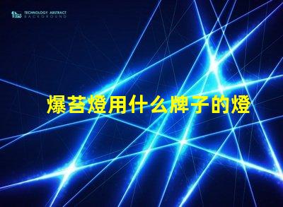 爆苔燈用什么牌子的燈珠好