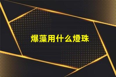 爆藻用什么燈珠