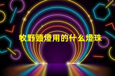 牧野頭燈用的什么燈珠