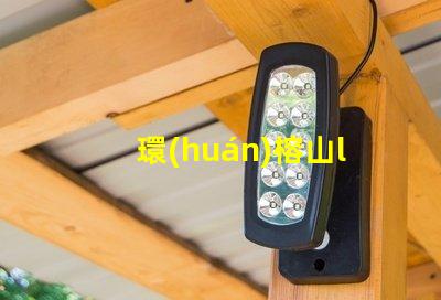 環(huán)榕山led用什么燈珠