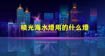 積光海水燈用的什么燈珠