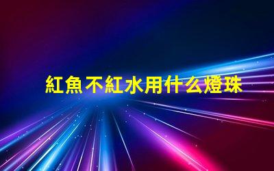 紅魚不紅水用什么燈珠原理