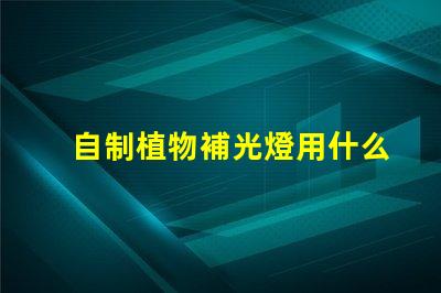 自制植物補光燈用什么燈珠