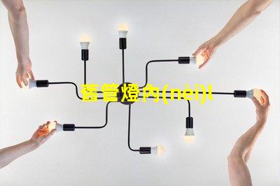 舊管燈內(nèi)led燈珠