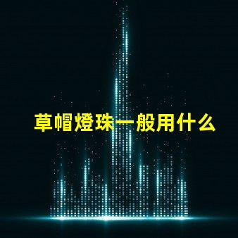 草帽燈珠一般用什么