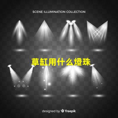 草缸用什么燈珠