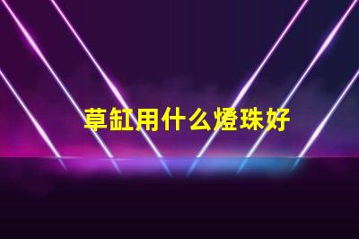 草缸用什么燈珠好