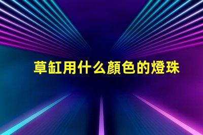 草缸用什么顏色的燈珠