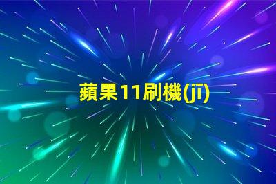 蘋果11刷機(jī)錯誤代碼4010