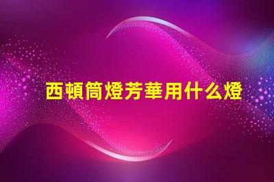 西頓筒燈芳華用什么燈珠