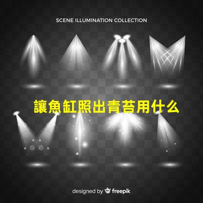 讓魚缸照出青苔用什么燈珠