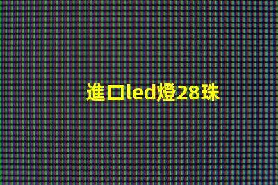 進口led燈28珠