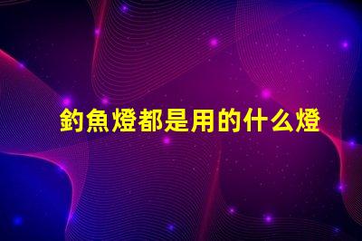 釣魚燈都是用的什么燈珠