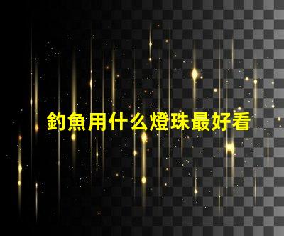 釣魚用什么燈珠最好看的