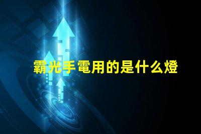 霸光手電用的是什么燈珠