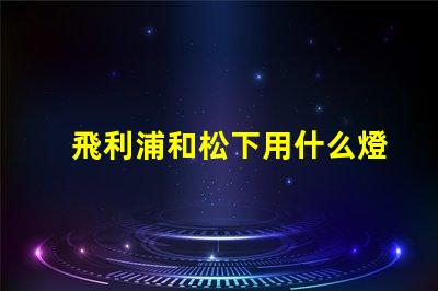 飛利浦和松下用什么燈珠
