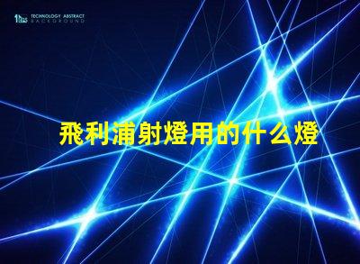 飛利浦射燈用的什么燈珠