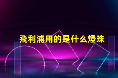 飛利浦用的是什么燈珠