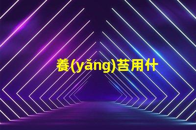 養(yǎng)苔用什么燈珠