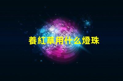 養紅草用什么燈珠