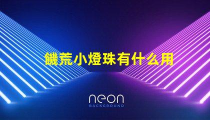 饑荒小燈珠有什么用