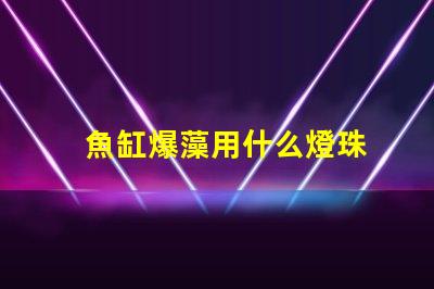 魚缸爆藻用什么燈珠