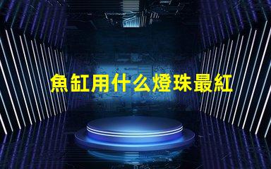 魚缸用什么燈珠最紅