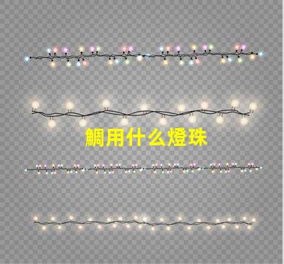 鯛用什么燈珠