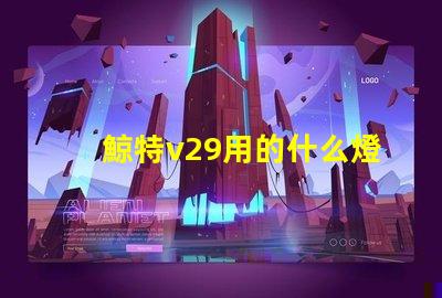 鯨特v29用的什么燈珠