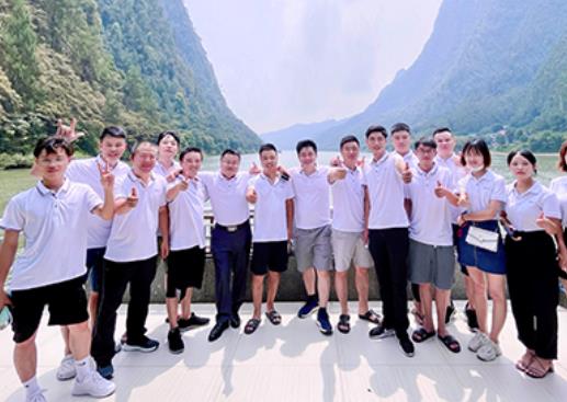 天成led燈珠公司理念家庭運(yùn)營模式